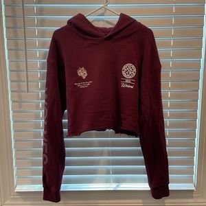 Darc Sport Cropped Hoodie